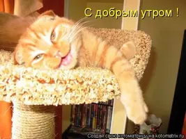 6c0db.webp