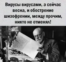 jEHV43nCBfo.webp