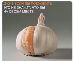MR5fwjn2s4k.webp