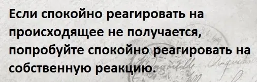 _MXmb8p5vHA.webp