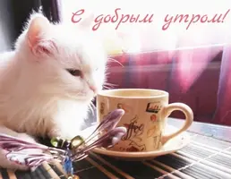 IMG_20200429_065427.webp