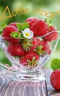 b7313e4646156ec4fa46474f706a34dc.webp