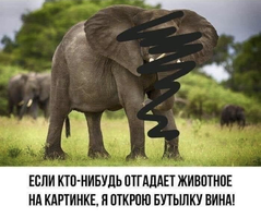 87E35B3B-52D6-42FF-B2EC-2D31055C95AE.webp