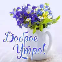 f1af9270d6bf8487e7fc697a2465681a.webp