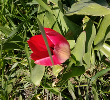 1588406931943.webp