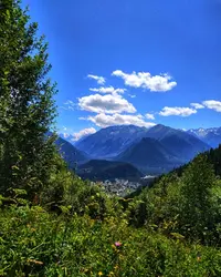 IMG_20190806_122930-02.webp