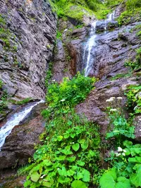 IMG_20190805_160918-01.webp