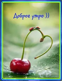unnamed (5).webp