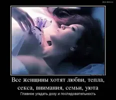 19273.webp