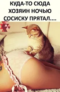 IMG_20200503_162129.webp