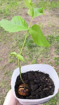 IMG_20200504_192200.webp