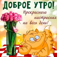 foto-1-prikolnaya-otkrytka-s-dobrym-utrom.webp