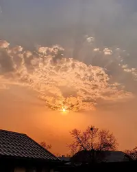 IMG_20200330_175755_475.webp