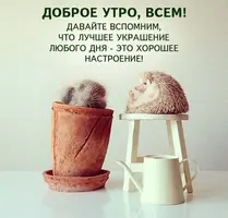 Sz9fsJNtH9c.webp