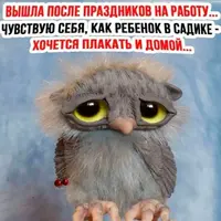 i.webp