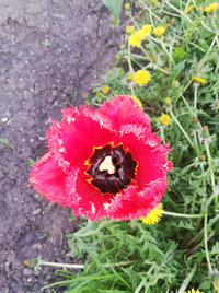 1588813542511.webp