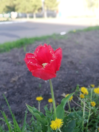 1588813491933.webp