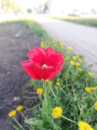 1588813472585.webp