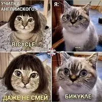 FB_IMG_1588829408553.webp