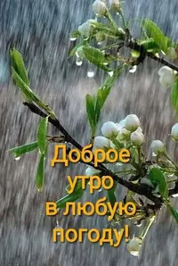 IMG-20200507-WA0001.webp