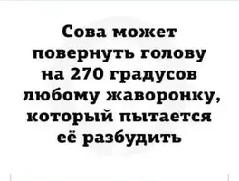 IMG-11092216cb4a9d78e1e11a86bdf6a3b6-V.webp