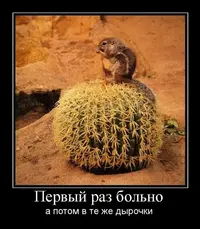 98d3317fa3581f3447f20d6608300f01.webp