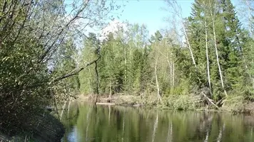 вах1.webp