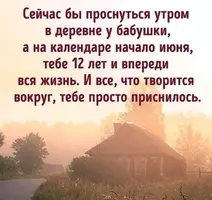 chYq9KxRM94.webp