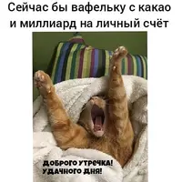 IMG-20200503-WA0006.webp