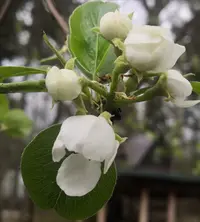 IMG_20200508_182705.webp