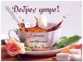 dobroe-utro-xoroshego-nastroeniya-na-ves-den.webp