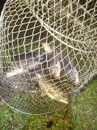 IMG_20200510_231525_600x800.webp