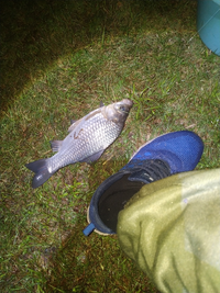 IMG_20200510_232018_600x800.webp