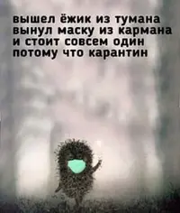 ёж.webp