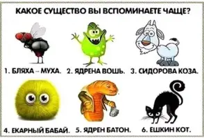 (2).webp