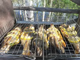 IMG-20200511-WA0049.webp