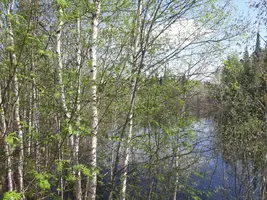 IMG-20200511-WA0020.webp