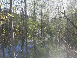 IMG-20200511-WA0021.webp
