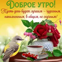 dobr_utro_1.webp