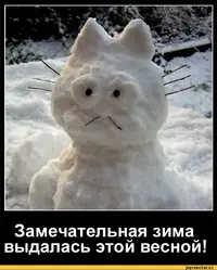 котэ-зима-весна-песочница-131513.webp