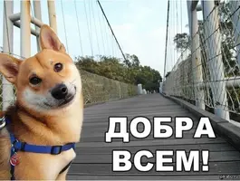 1370681087_1035921636.webp