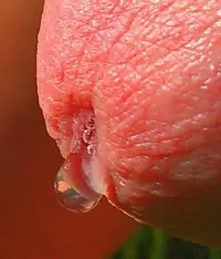_20160720_063321.webp