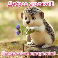 i (1).webp