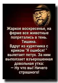 (3).webp