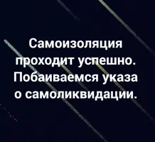 IMG-4fab4068dea1ddfde0a709924ec67300-V.webp
