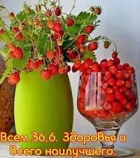 IMG-20200514-WA0004.webp