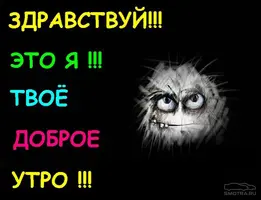 s1200.webp