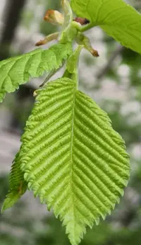 IMG_20200514_171829.webp