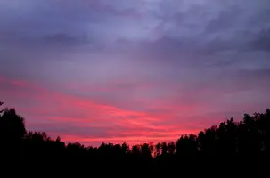 _DSC6470.webp