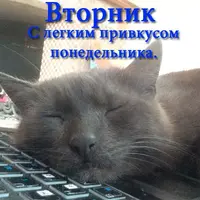 46549_original.webp